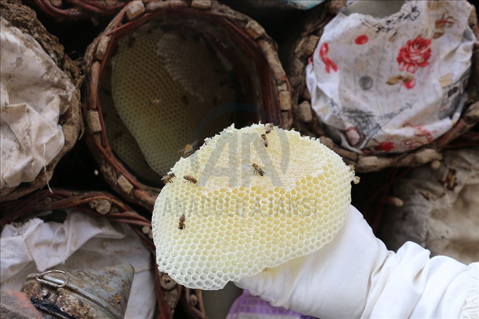 Huzura kavuşan Çemikare Yaylası'nda bal üretiyorlar