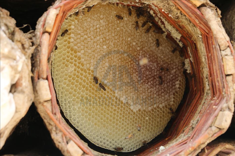 Huzura kavuşan Çemikare Yaylası'nda bal üretiyorlar