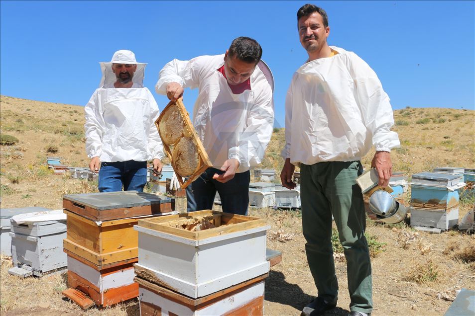 Huzura kavuşan Çemikare Yaylası'nda bal üretiyorlar