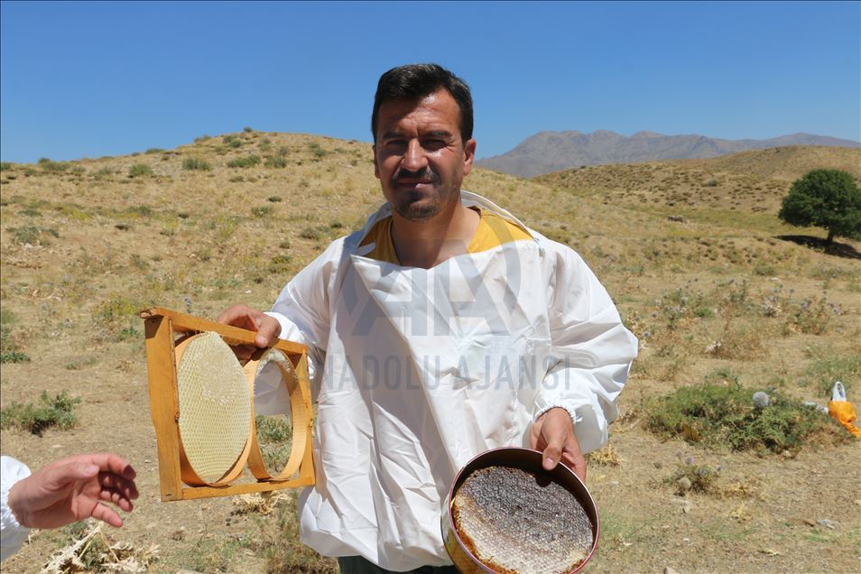 Huzura kavuşan Çemikare Yaylası'nda bal üretiyorlar