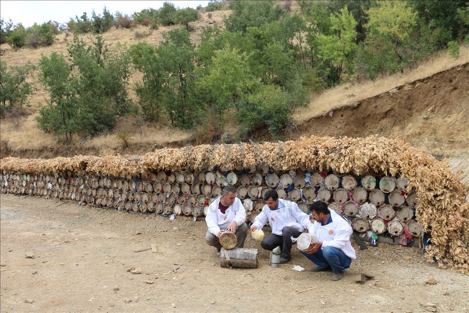 Huzura kavuşan Çemikare Yaylası'nda bal üretiyorlar