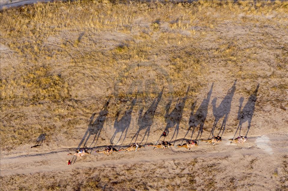 Paseos en camello por la histórica región de Capadocia