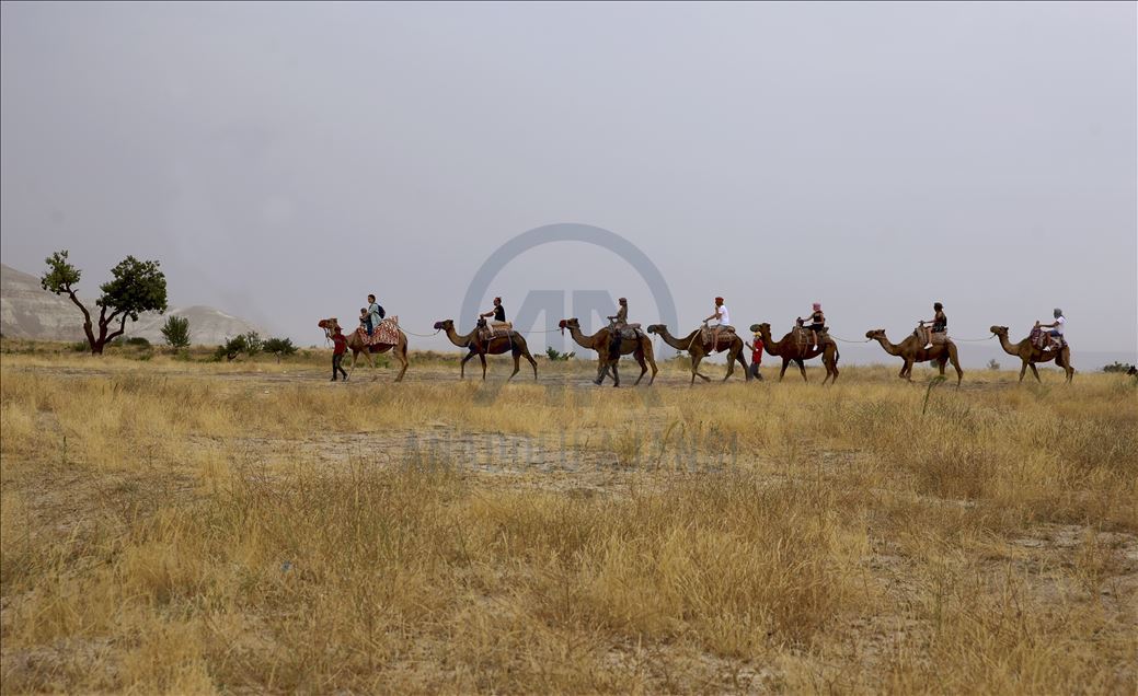 Paseos en camello por la histórica región de Capadocia