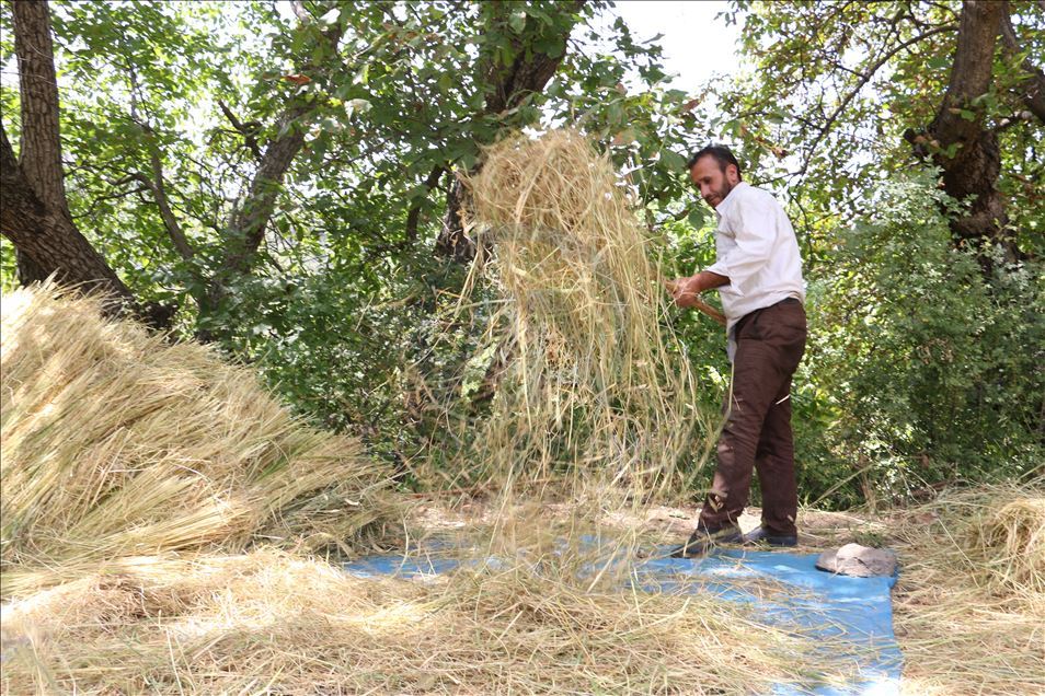 Birincê Qursincê yê Bidlîsê li aşê 150 salî tê hêran
