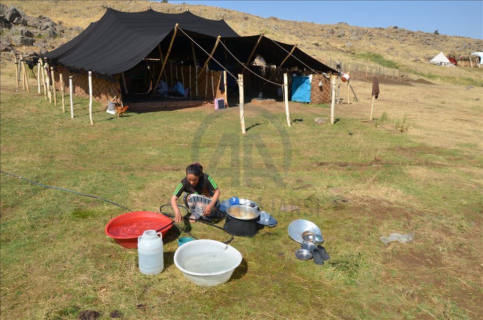 Koçerên ji herêmên germ tên Mûşê di konan da dijîn