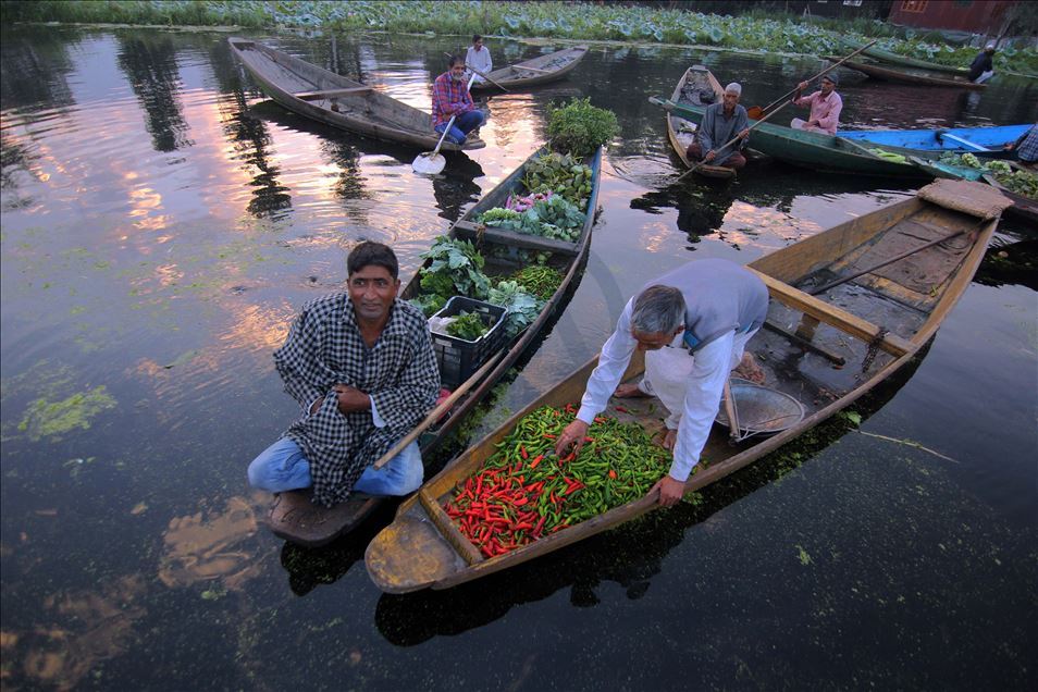 Keşmir'deki Dal Gölü'nde teknelerle sebze satışı