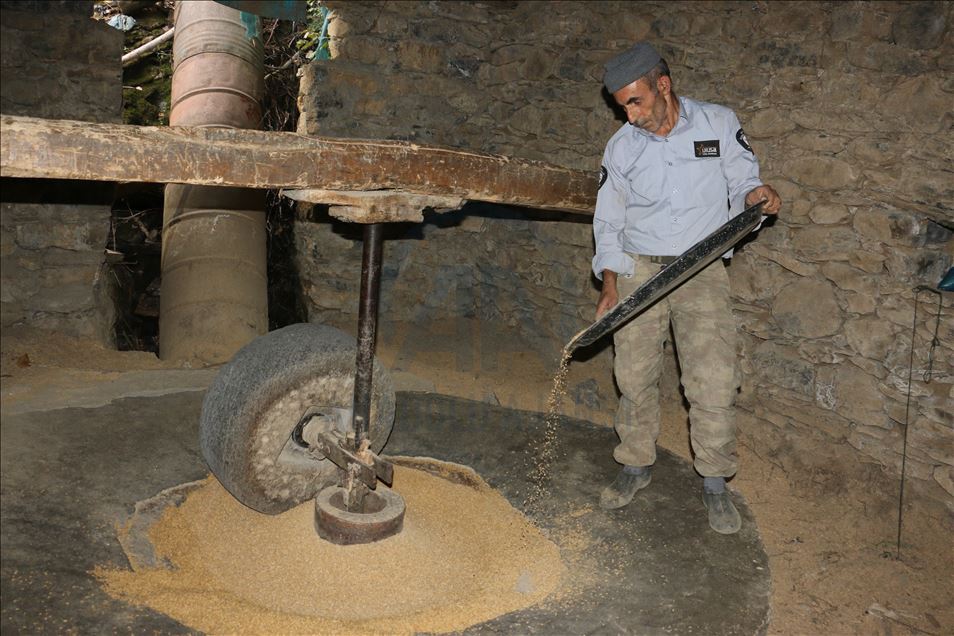 Birincê Qursincê yê Bidlîsê li aşê 150 salî tê hêran
