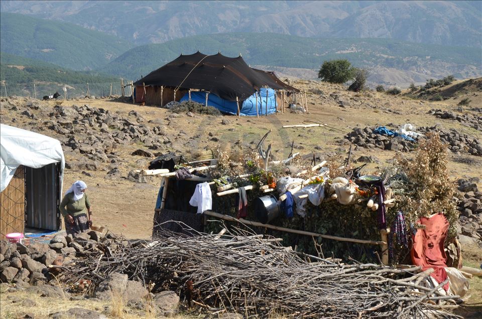 Koçerên ji herêmên germ tên Mûşê di konan da dijîn