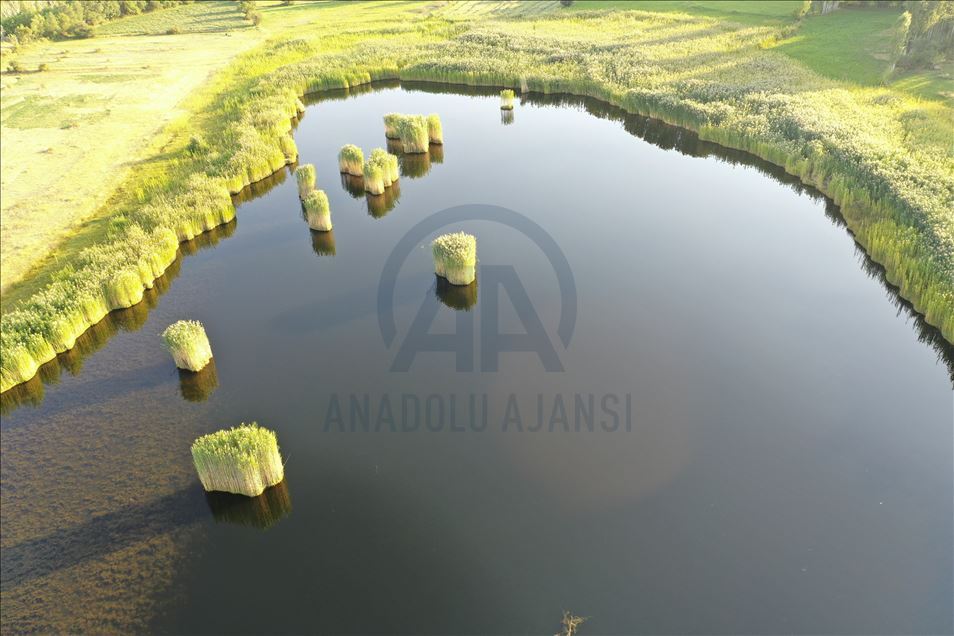 Gola Uçkayayê her demsal bedew e