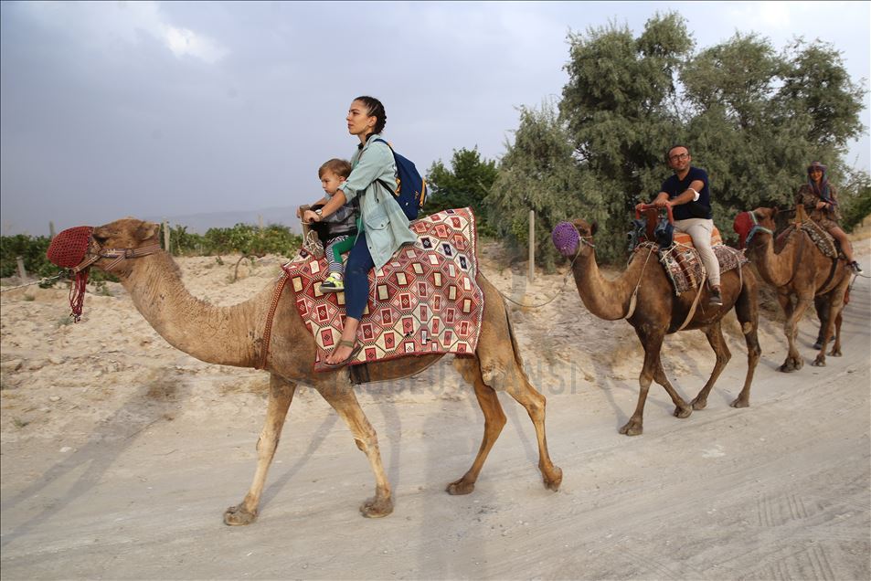 Сказочная Каппадокия: незабываемое сафари на верблюдах