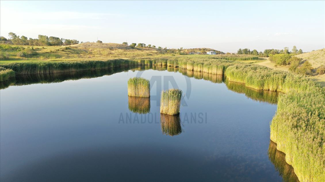 El paisaje en el lago Uckaya en Igdir, Turquía