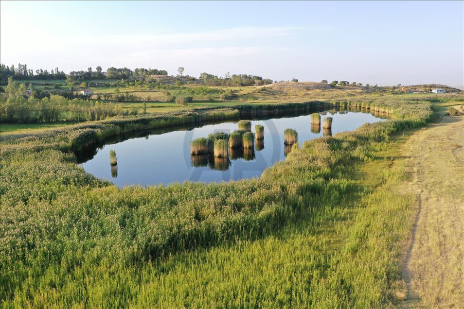 Gola Uçkayayê her demsal bedew e