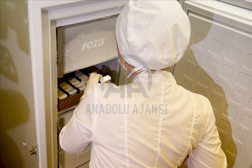 Rusya’da gönüllülere Kovid-19 aşısı yapılmasını AA görüntüledi