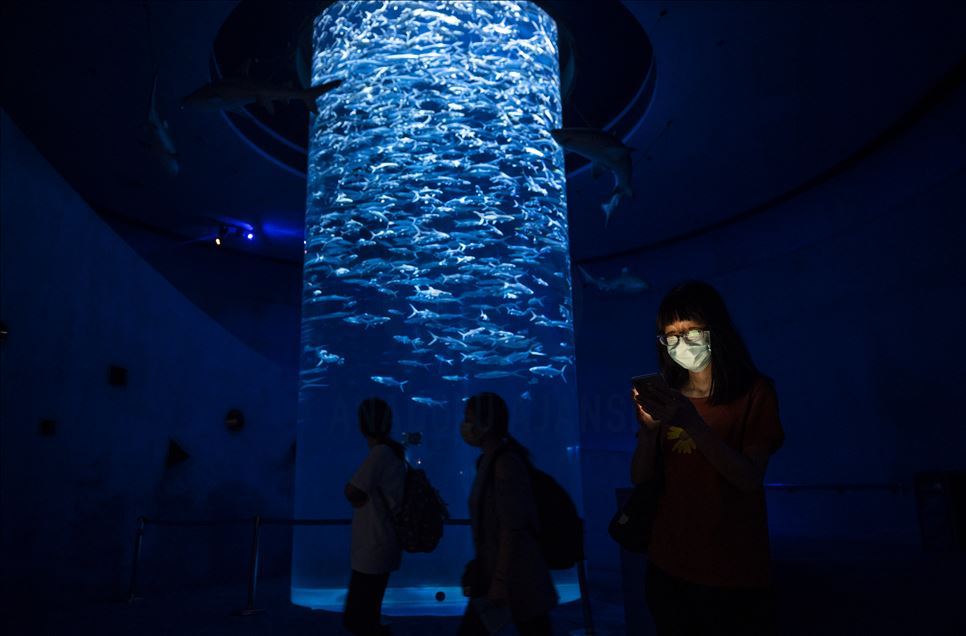 Hong Kong'ta Ocean Park yeniden açıldı