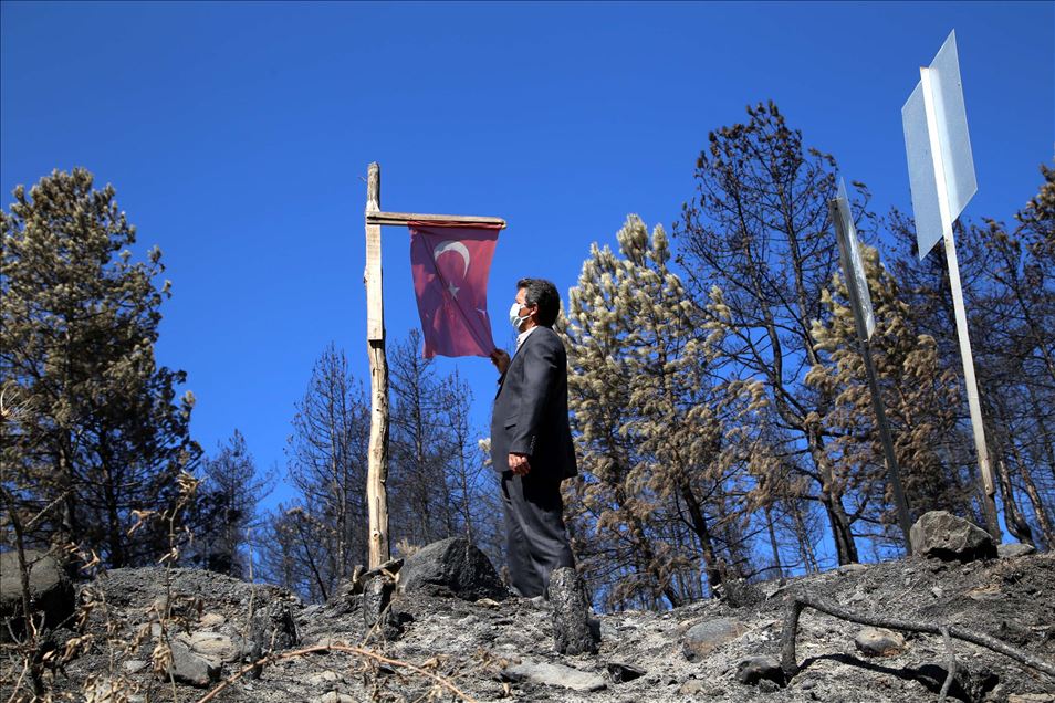 Orman yangını bölgesinde yanmadan bulunan Türk bayrağını gençler yerine dikti