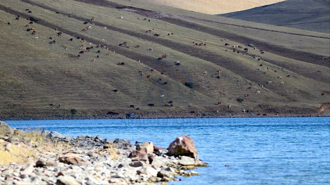 بە هۆی جوانیی دەریاچەی ماسیەوە ناوچەکە بووەتە جێی سەرنجی هاووڵاتیيان