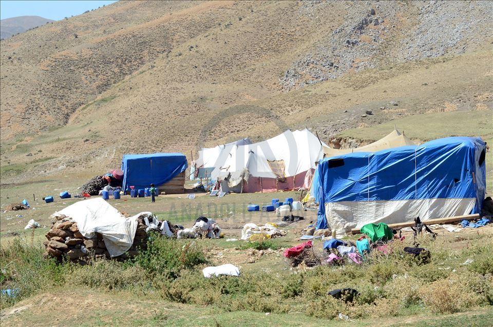 Bitlis'te göçerler yayla sezonunu verimli geçirmenin mutluluğunu yaşıyor