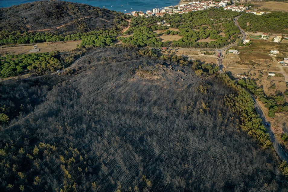 Balıkesir’deki orman yangını kontrol altına alındı