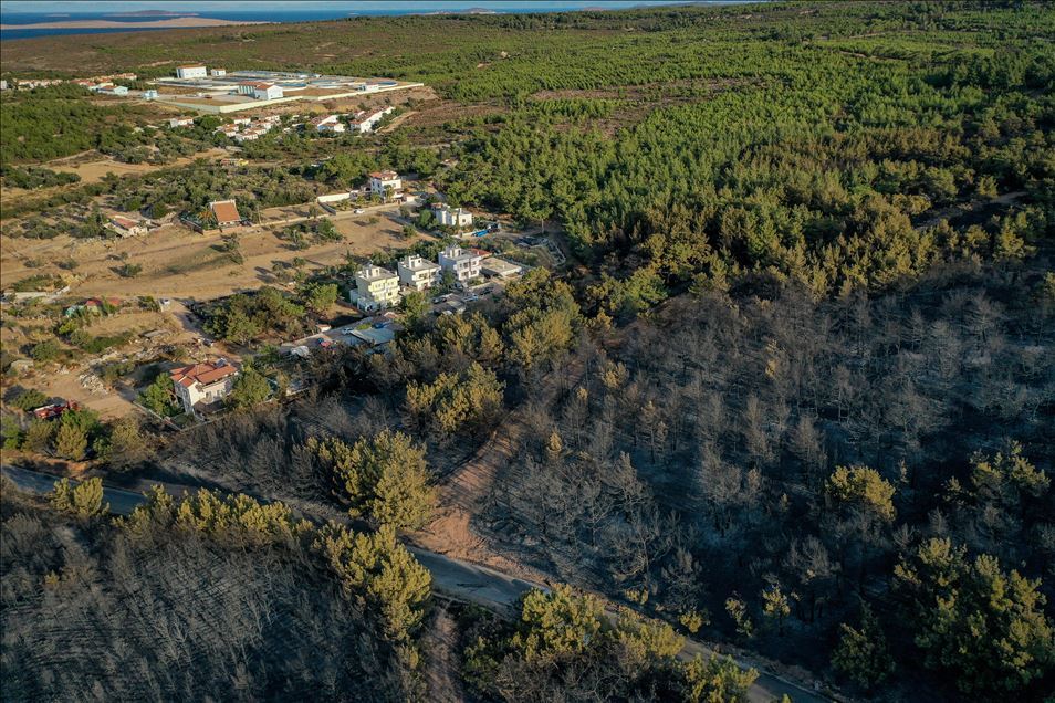 Balıkesir’deki orman yangını kontrol altına alındı