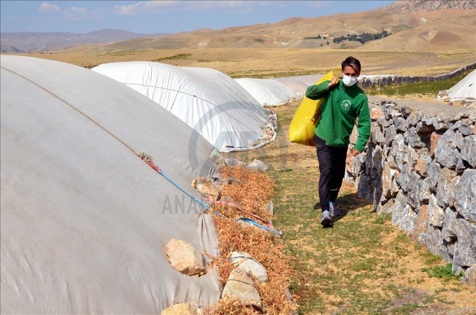 Çobanlık yaparken hazırlandı, 20 Yaş Altı Balkan Atletizm Şampiyonası'nda birinci oldu