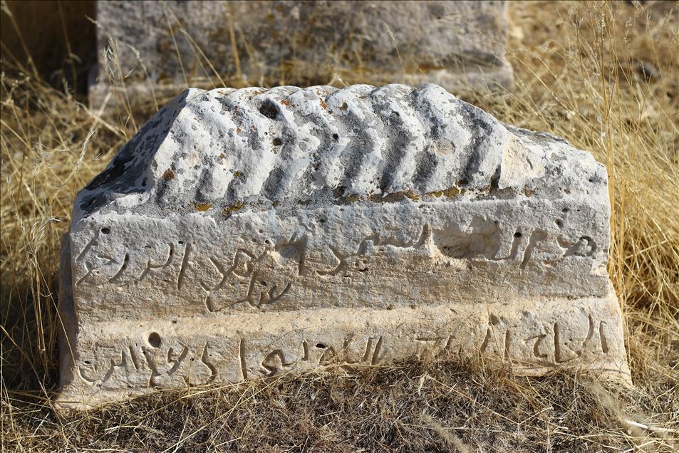 Li Wanê Goristana Selçûqî-Qereqoyuniyan a dîrokî wê were restorekirin