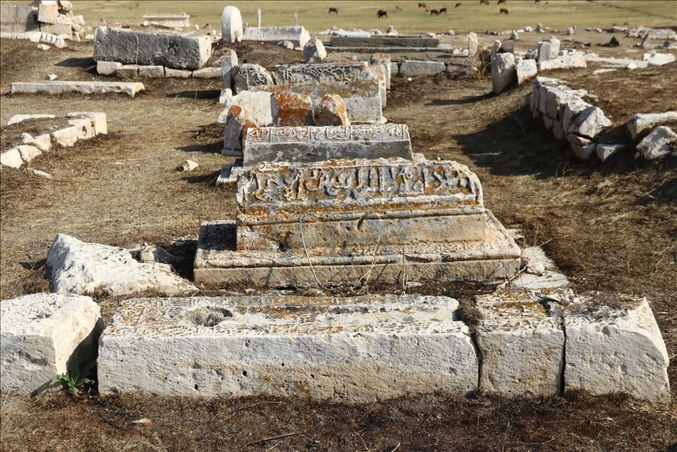 Li Wanê Goristana Selçûqî-Qereqoyuniyan a dîrokî wê were restorekirin