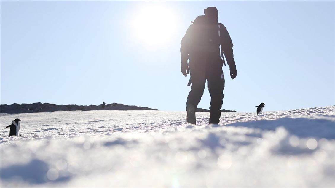 "Gezegenin Kara Kutusu: Antarktika" belgeseli gün sayıyor