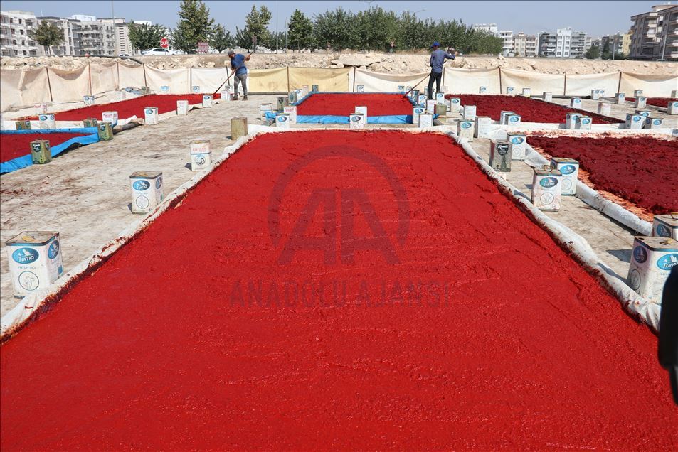 Li Şanliurfayê mesaiya reçela îsotê
