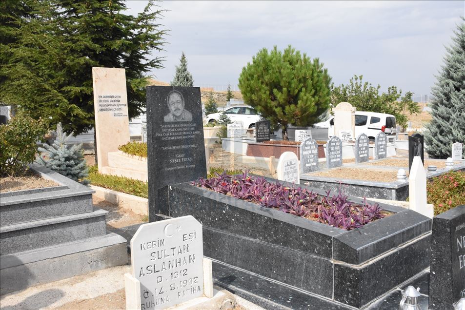 "Bozkırın Tezenesi" Neşet Ertaş Kırşehir'deki mezarı başında anıldı