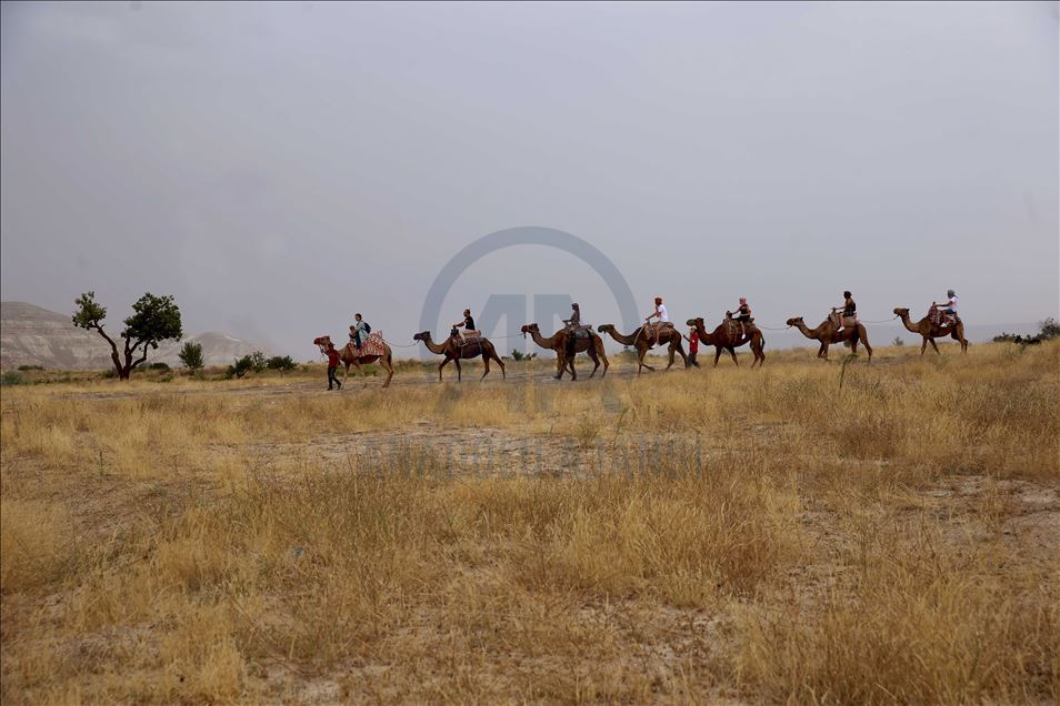 تتجول الجِمال بين مداخن العفاريت ف