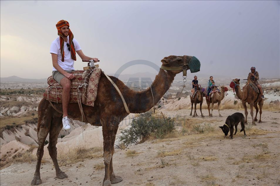 تتجول الجِمال بين مداخن العفاريت ف