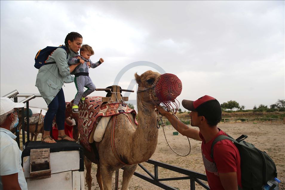 تتجول الجِمال بين مداخن العفاريت ف