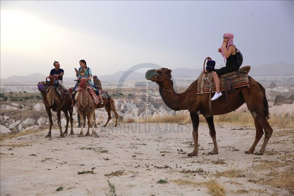 تتجول الجِمال بين مداخن العفاريت ف