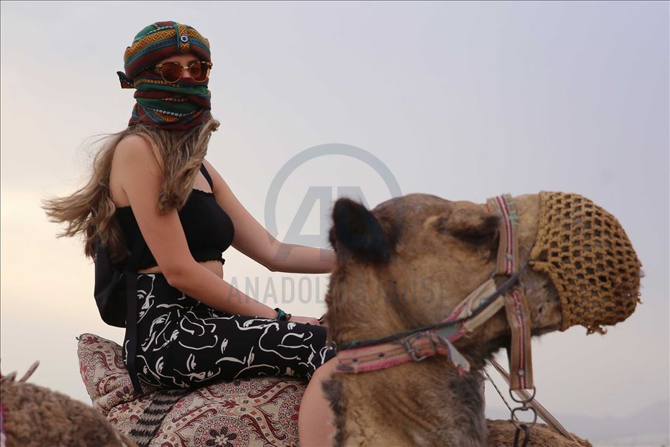 تتجول الجِمال بين مداخن العفاريت ف