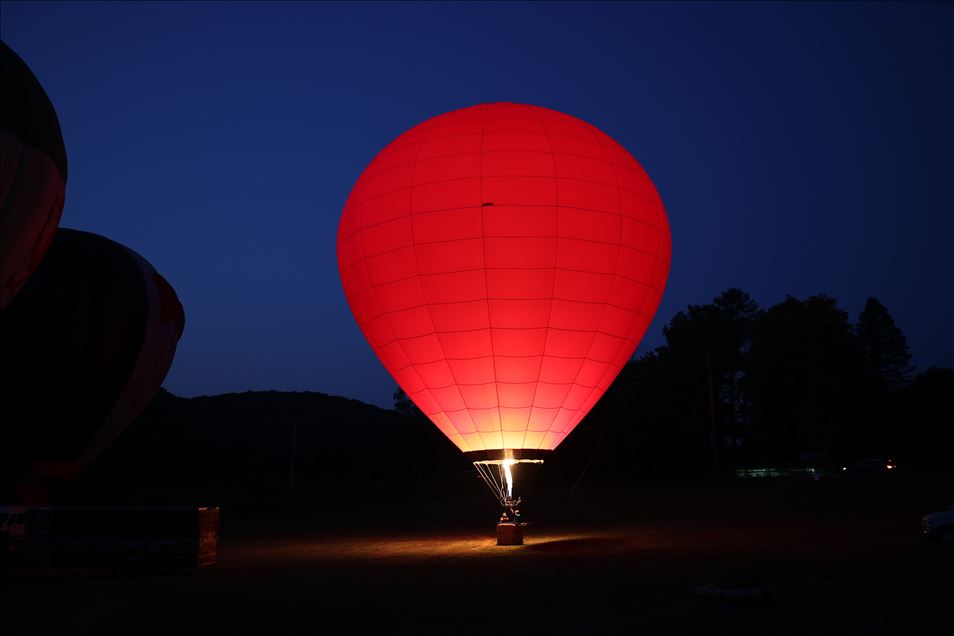 ‘29th annual Hot Air Balloon Festival’ began in New York 