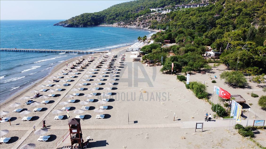 Muğla'da "sahillerin gelini" kum zambakları özenle korunuyor
