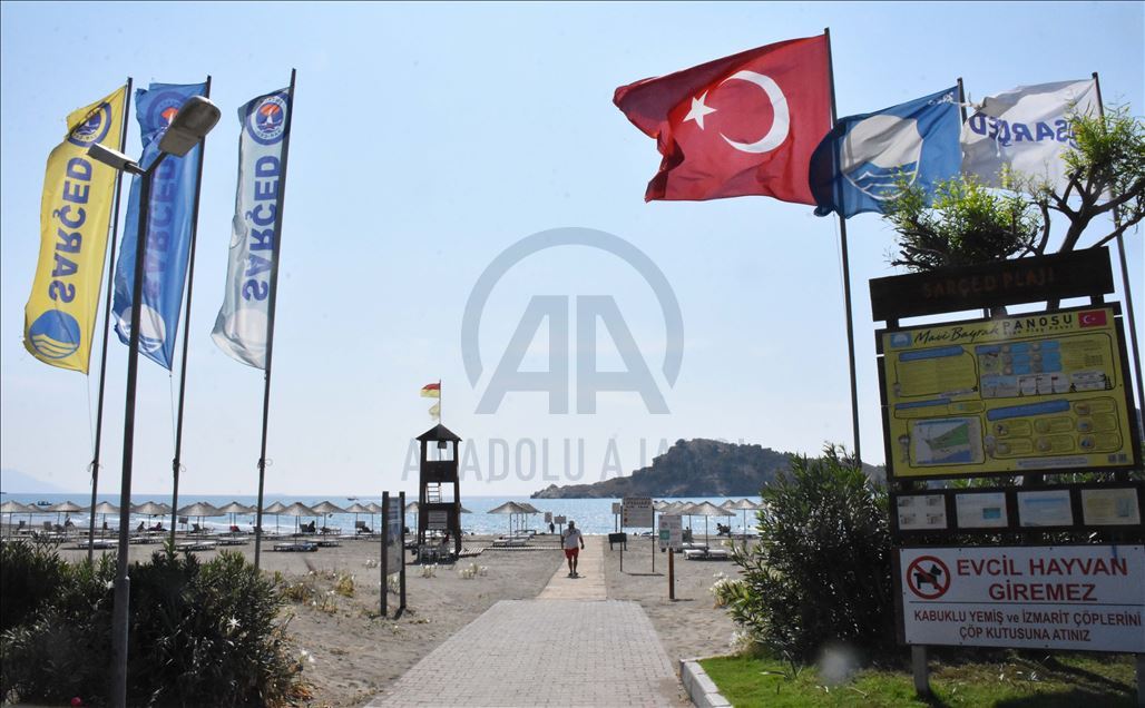 Muğla'da "sahillerin gelini" kum zambakları özenle korunuyor