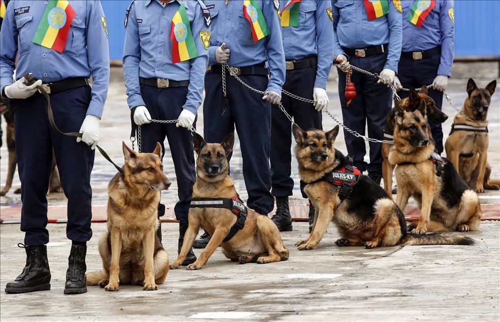 Etiyopya Federal Polisi'nden geçit töreni