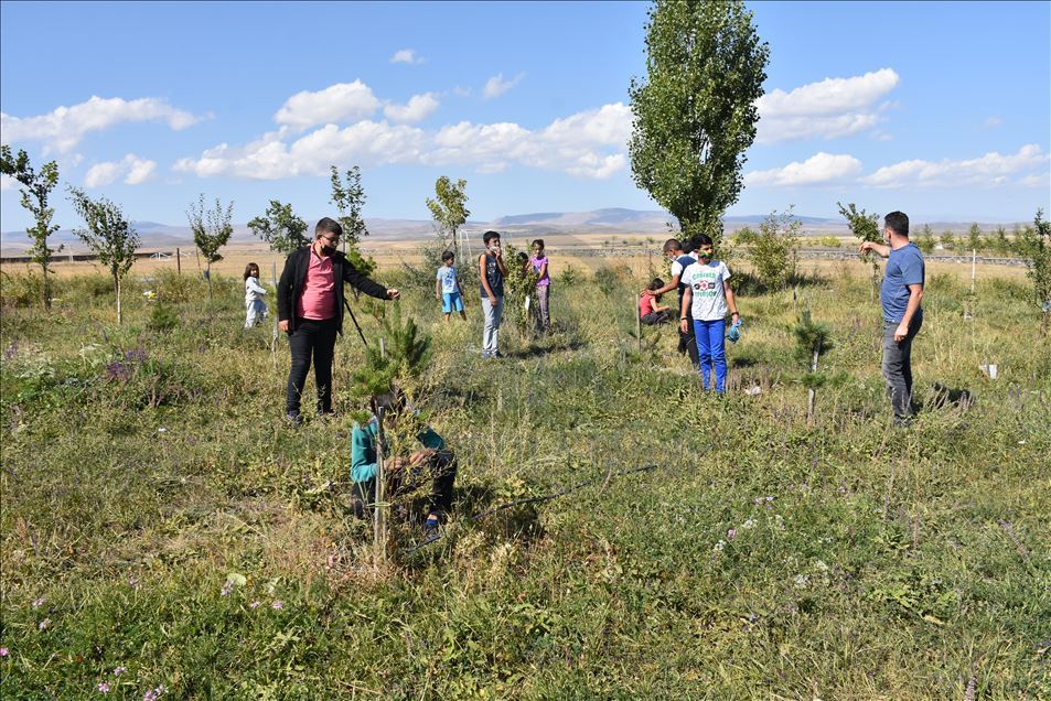 Karslı öğrenciler, okul bahçesindeki serada organik sebze ve meyve üretiyor - Anadolu Ajansı