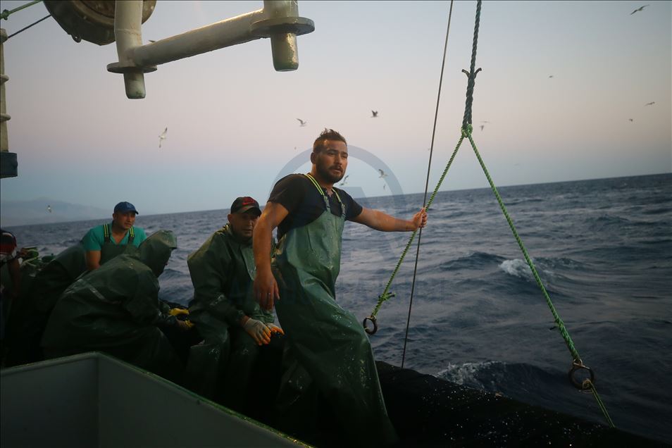 "Denizin mevsimlik işçileri"nin mavi sulardaki zorlu mücadelesi