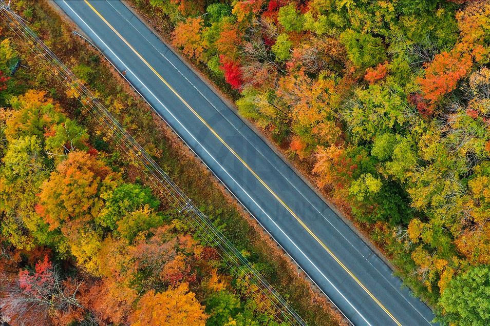 Follaje de otoño en New Hampshire, EEUU