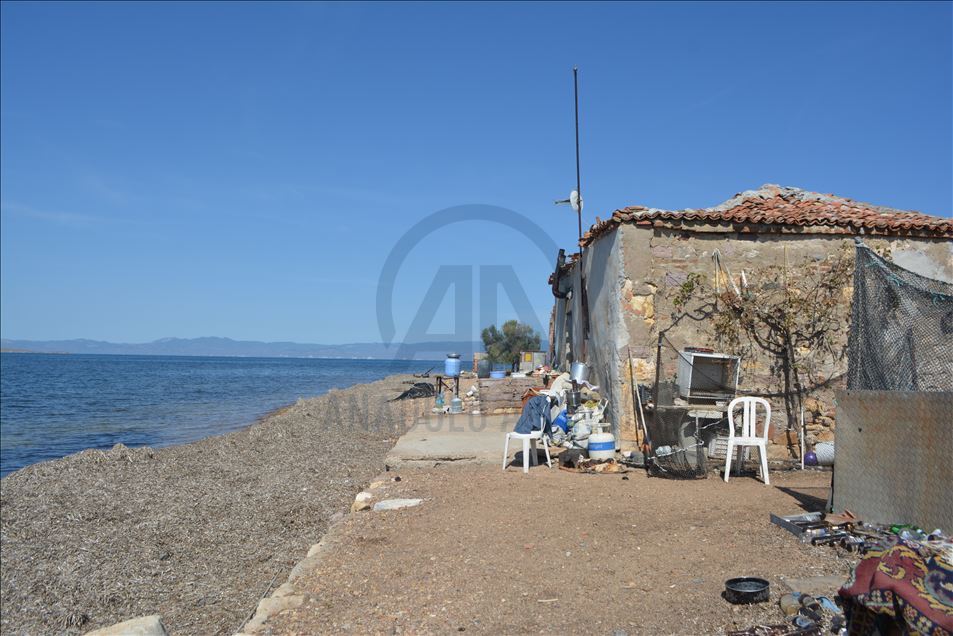 Çiçek Adası’nın 17 yıllık sakinleri