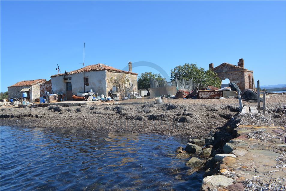 Çiçek Adası’nın 17 yıllık sakinleri