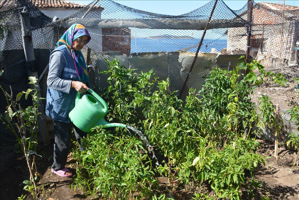 Çiçek Adası’nın 17 yıllık sakinleri
