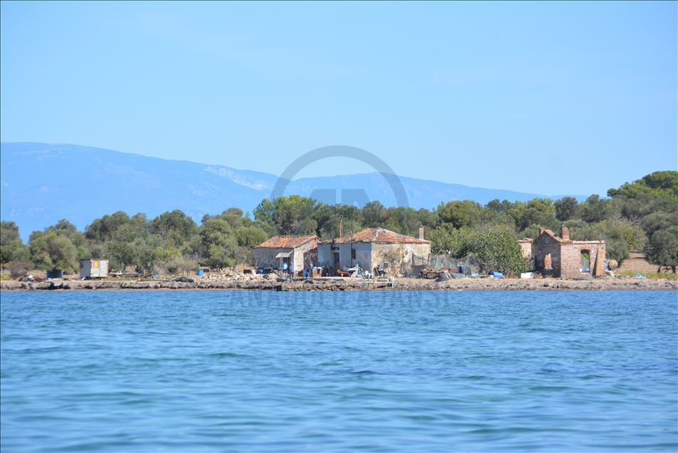 Çiçek Adası’nın 17 yıllık sakinleri