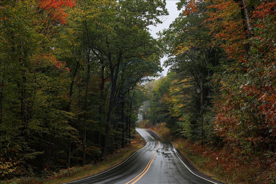 Follaje de otoño en New Hampshire, EEUU