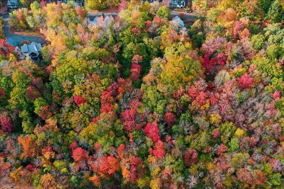 Follaje de otoño en New Hampshire, EEUU