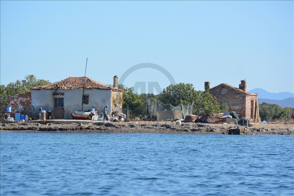 Çiçek Adası’nın 17 yıllık sakinleri