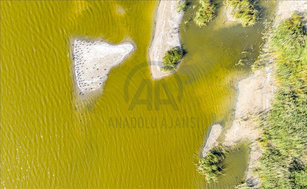 Островки на пруду Сел Капаны в Анкаре создают красивые пейзажи