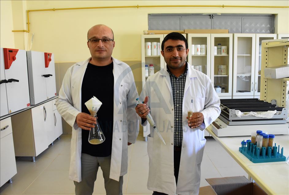 Palamut ve alabalık atıklarını protein tozuna dönüştürdüler